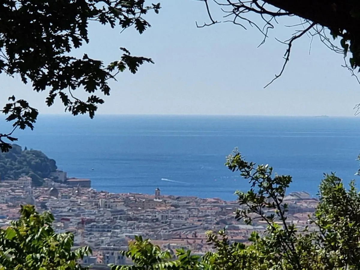 Nice Plage Villa Vue Mer France